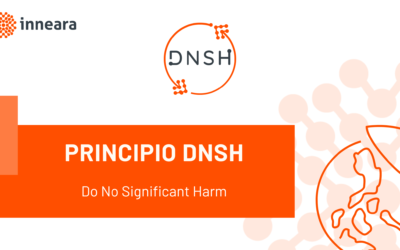 Importancia del principio DNSH para obtener financiación en tus proyectos