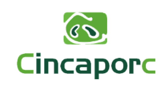 CINCAPORC - PROYECTO FARMTWIN